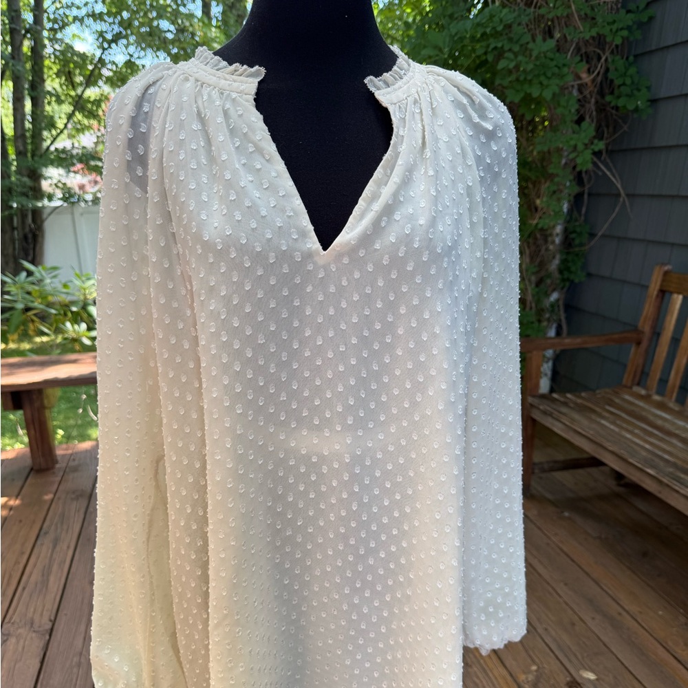 Diane Von Furstenberg Ivory Swiss Dot Long-Sleeve Tunic